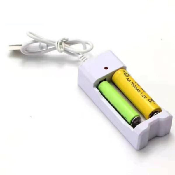Fast, Safe Charging for AA & AAA Batteries – 2-Slot 1.2V Battery Charger